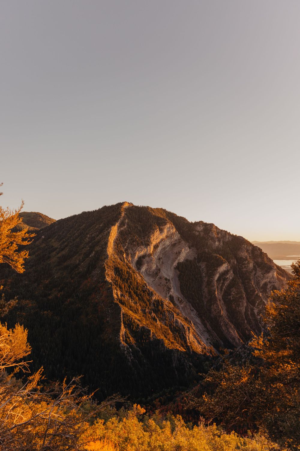 Dramatic mountain ridge glowing golden in sunset light with autumn trees in the foreground.
