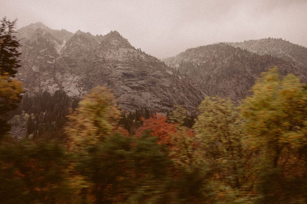 Misty mountain landscape with autumn foliage in muted tones.