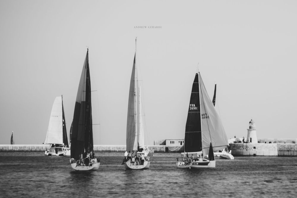 Multiple sailboats racing across calm waters with white sails billowing in the wind.