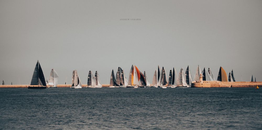 Fleet of sailboats with white sails racing across open waters during a competition.