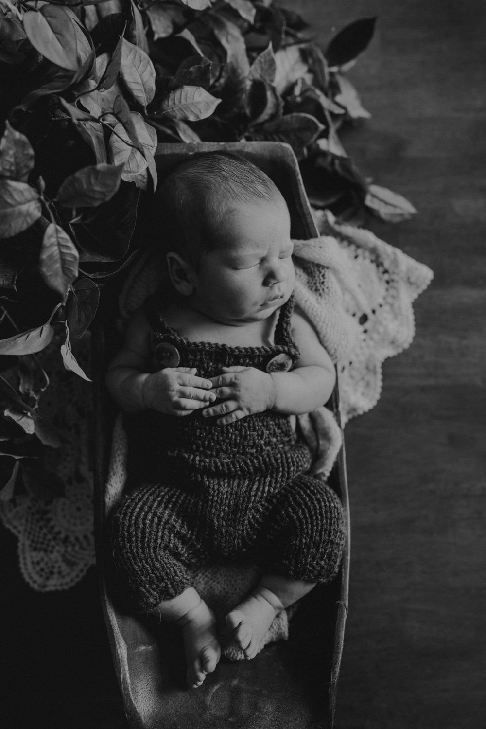 Black and white photo of a sleeping baby in knitted overalls lying among green foliage.
