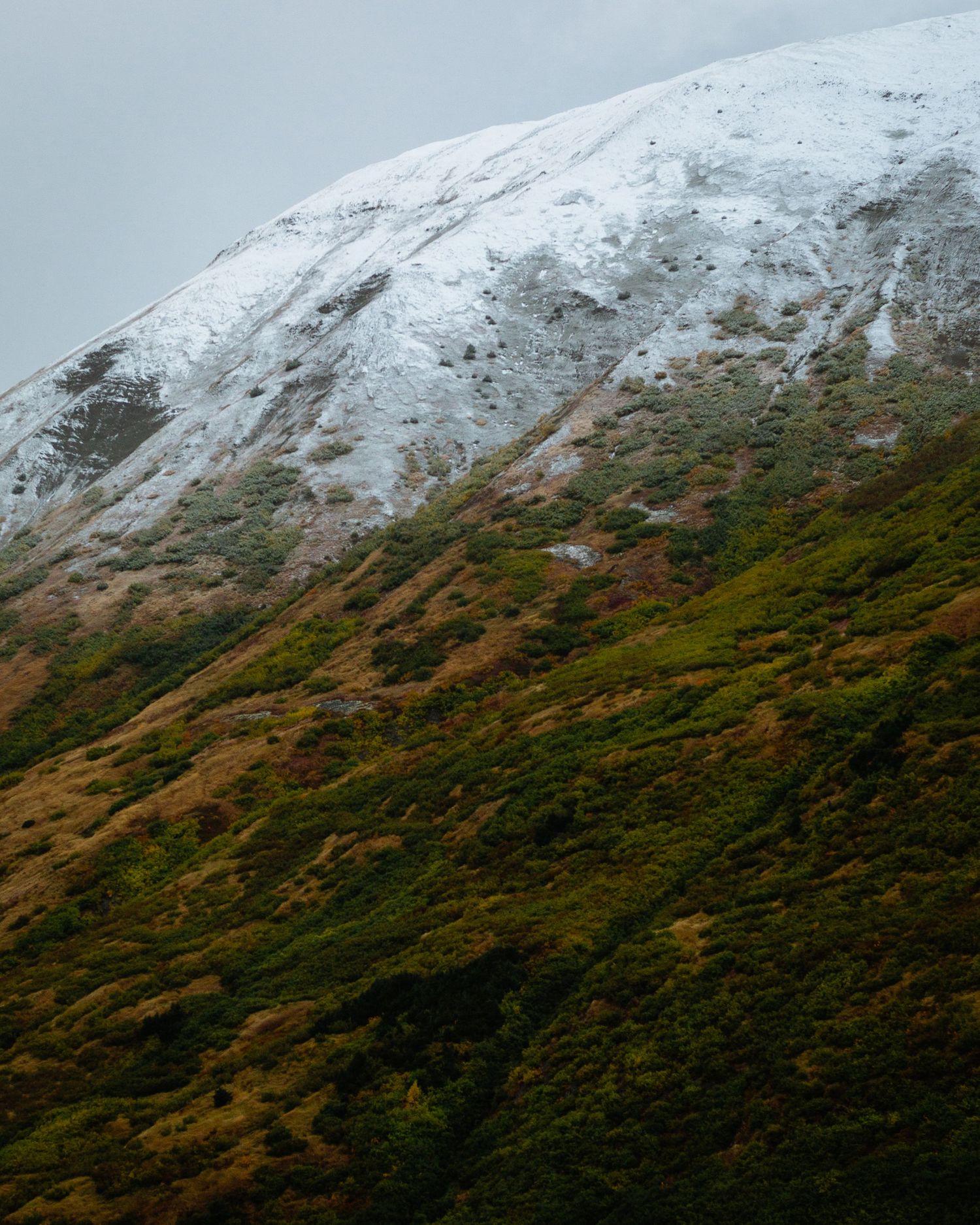 Alaska colors