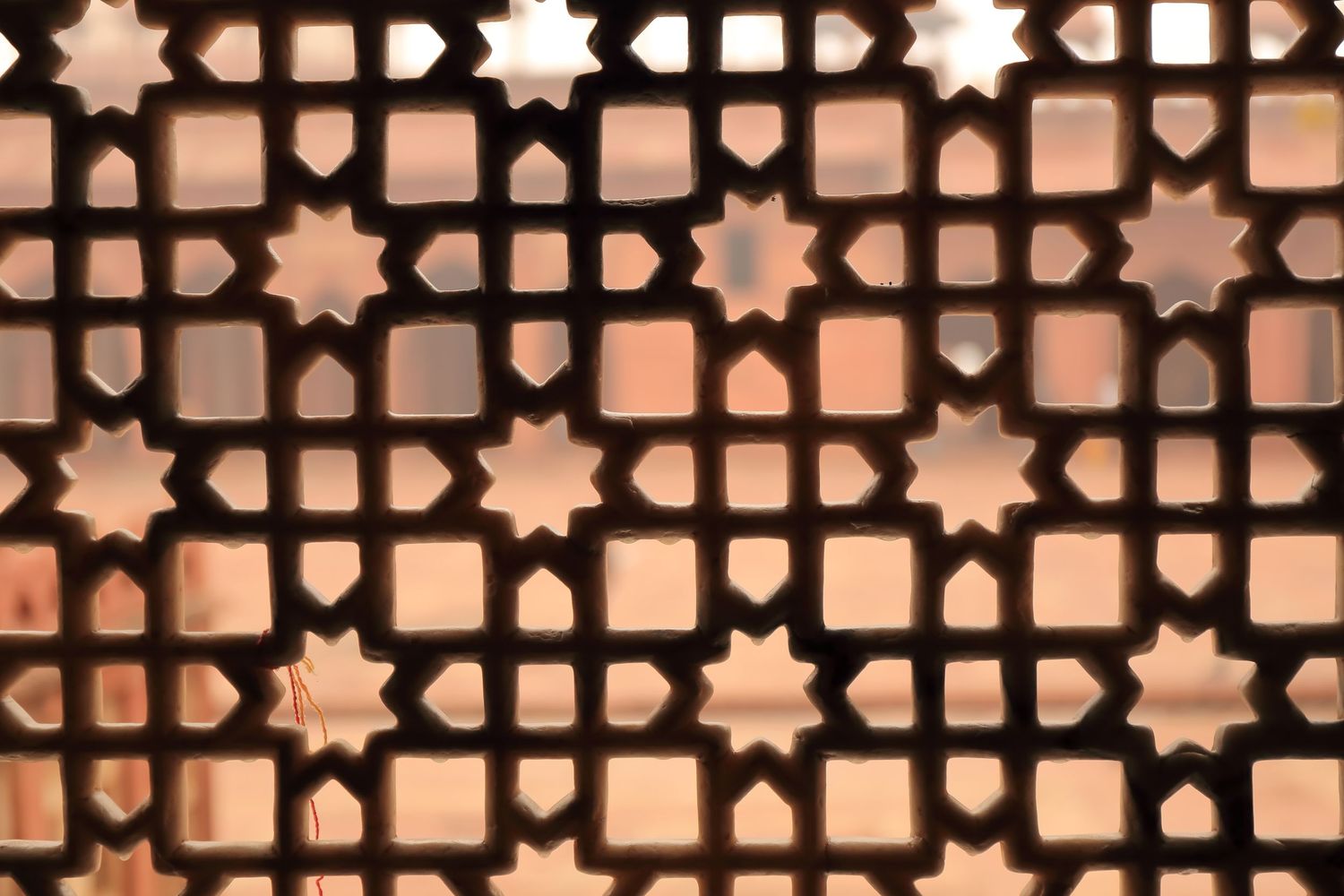 Detailed view of an intricate Islamic geometric lattice screen with star patterns backlit by sunlight.