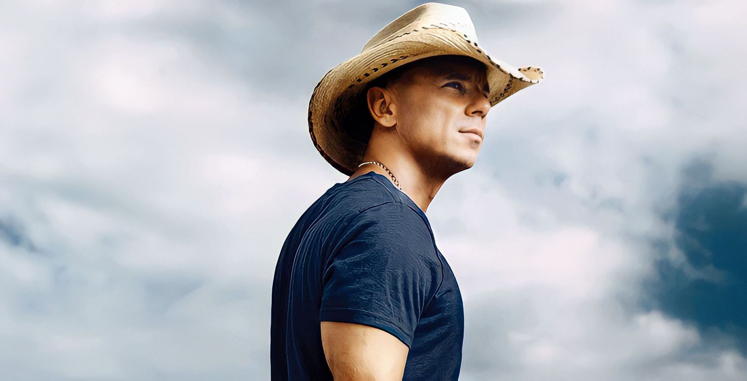 Person in navy t-shirt and straw hat gazing into distance against cloudy sky.