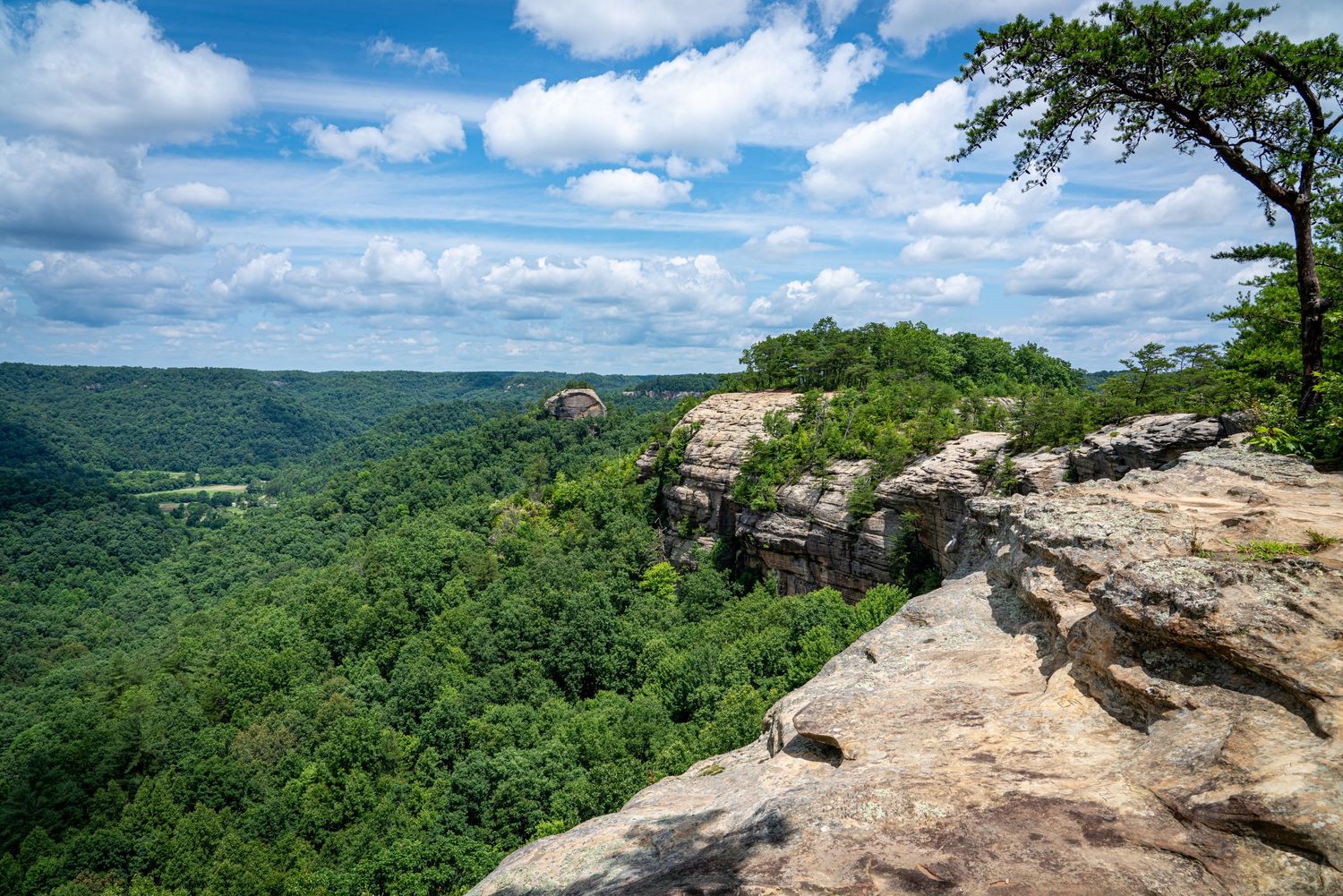 Couples Hiking Adventure Photoshoot Photography Red River Gorge Kentucky