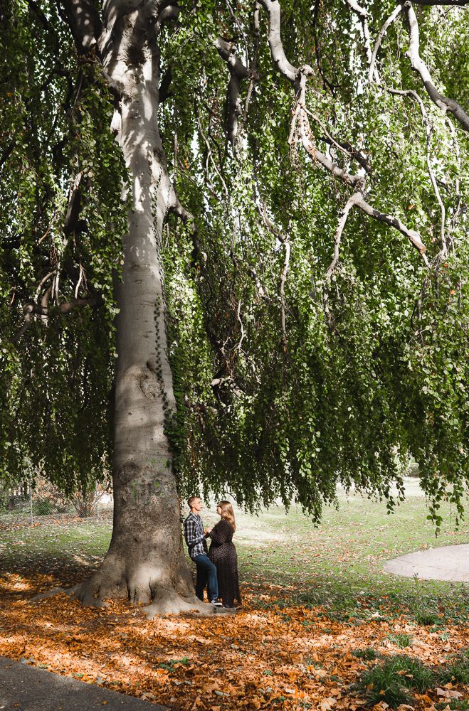 Couples photography Zurich Zug Luzern Bern - Paarfotoshooting Zurichsee Goldkuste
