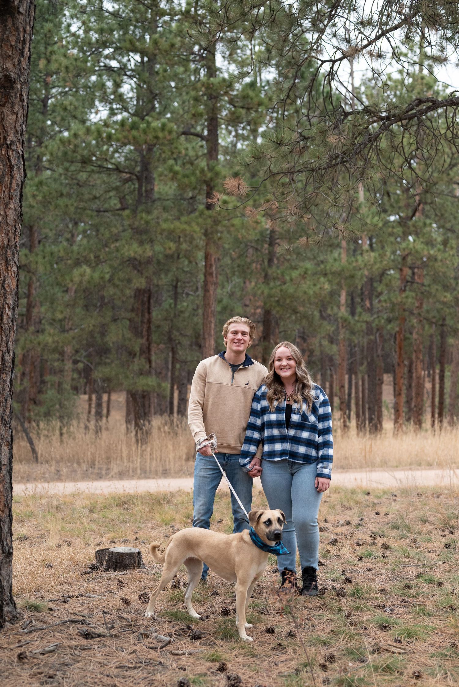 Holiday Mini Sessions in Colorado Springs