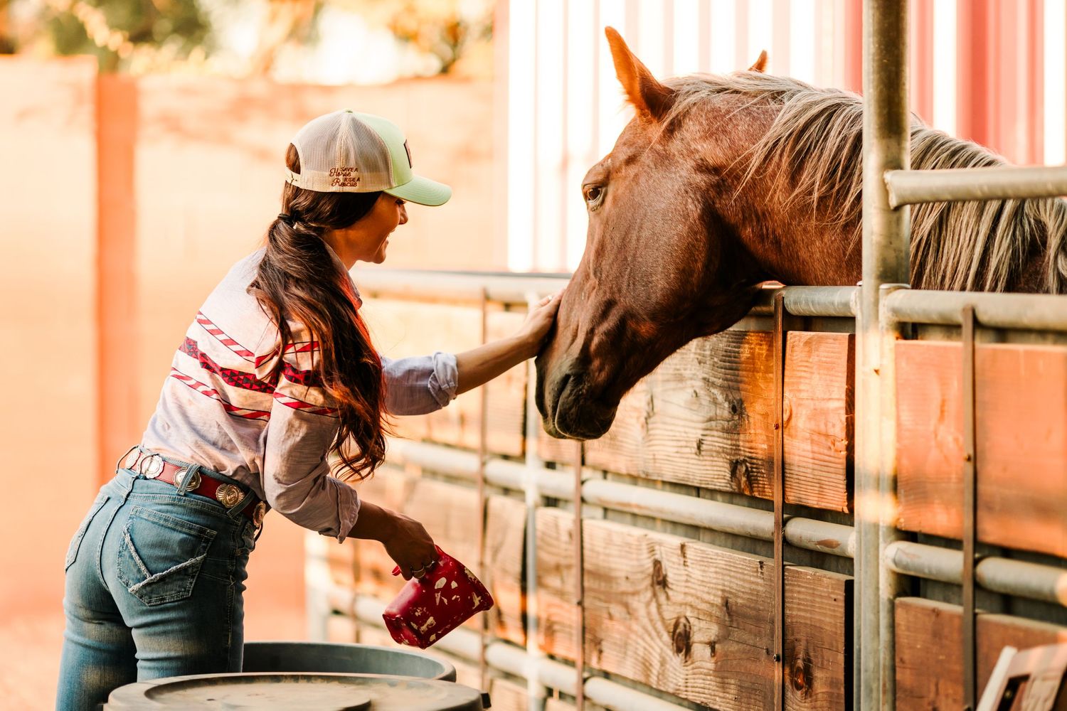 Someone in western attire reaching out to pet a curious brown horse.