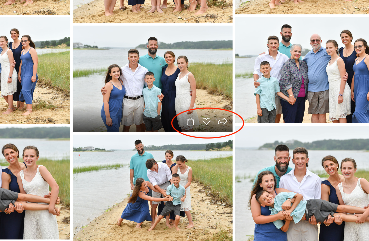 A collage of casual beach family photos showing multiple outdoor scenes and group poses.
