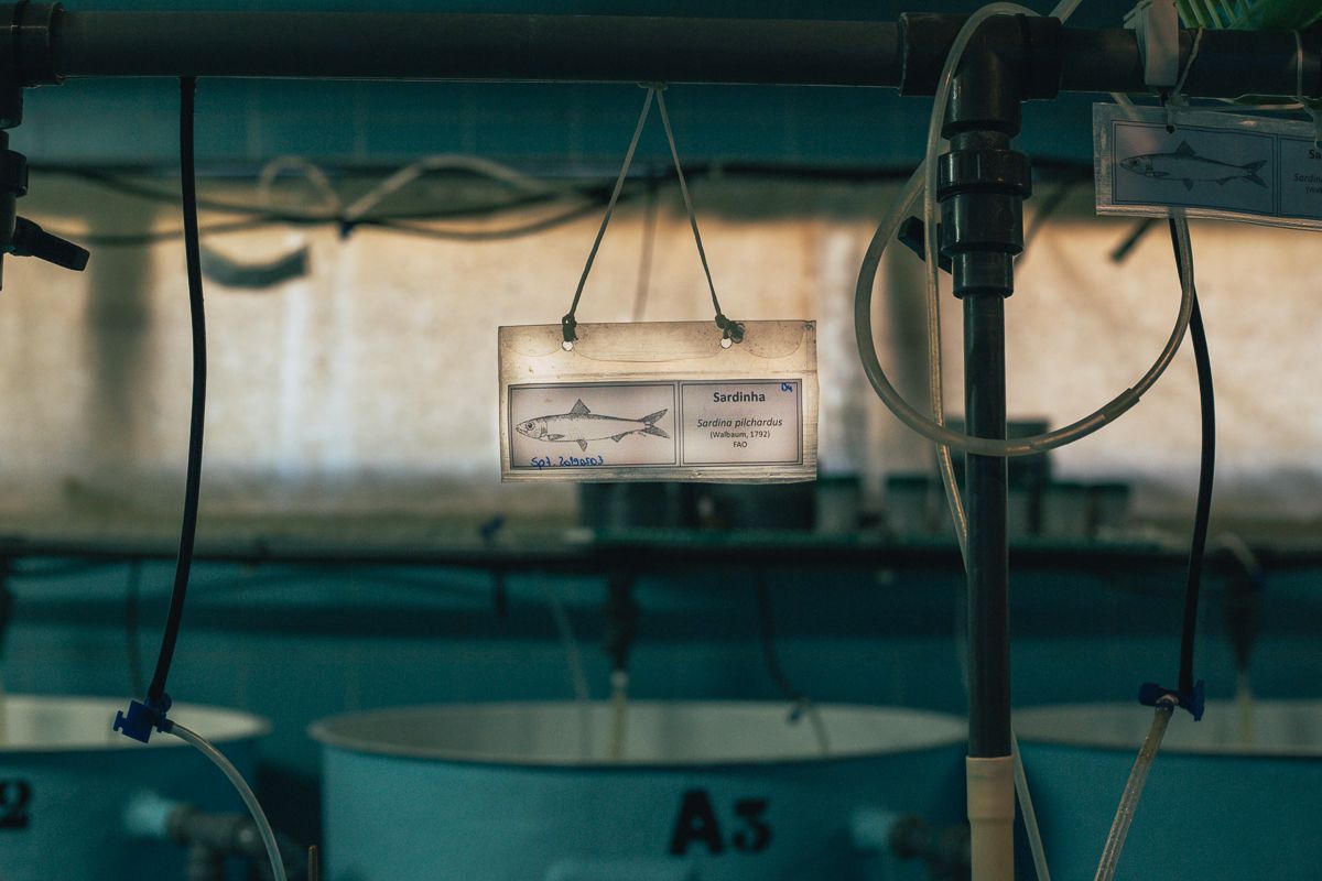 CRUA visual storyteller | documentary photography lisbon