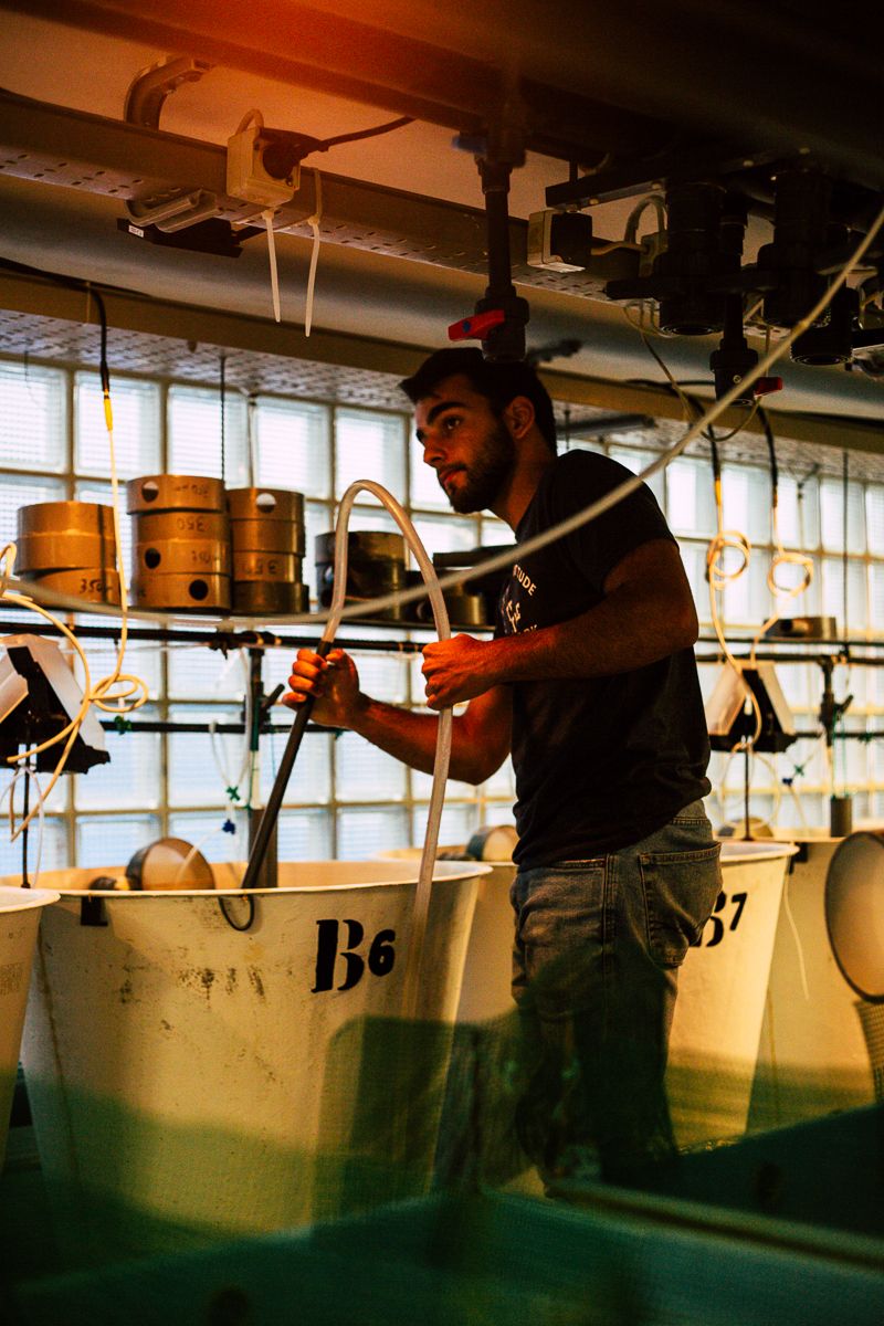 CRUA visual storyteller | documentary photography lisbon