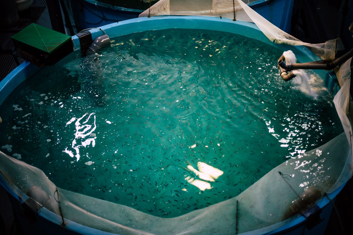 CRUA visual storyteller | documentary photography lisbon