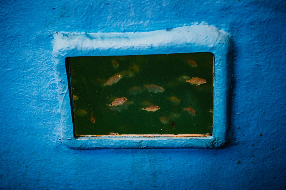 CRUA visual storyteller | documentary photography lisbon