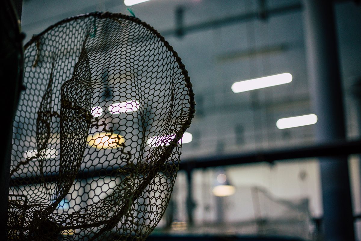 CRUA visual storyteller | documentary photography lisbon