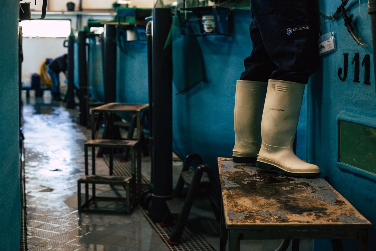 CRUA visual storyteller | documentary photography lisbon