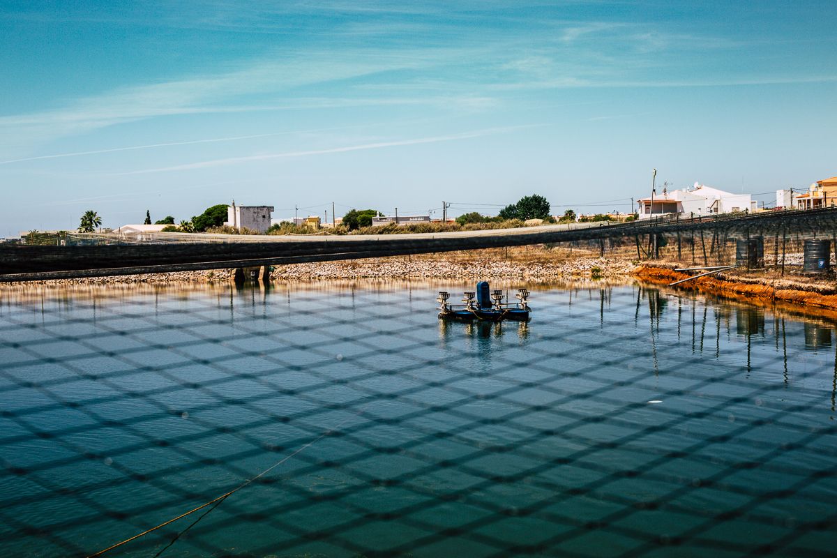 CRUA visual storyteller | documentary photography lisbon
