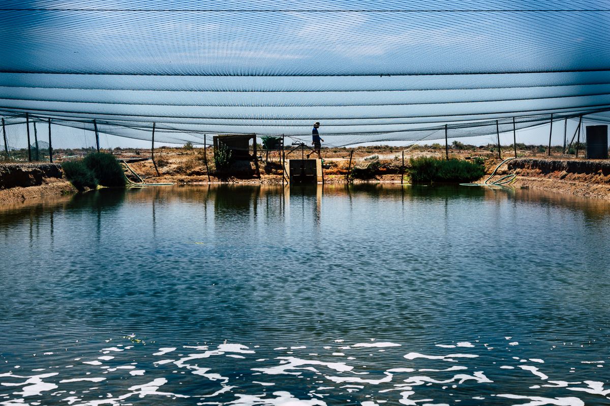 CRUA visual storyteller | documentary photography lisbon