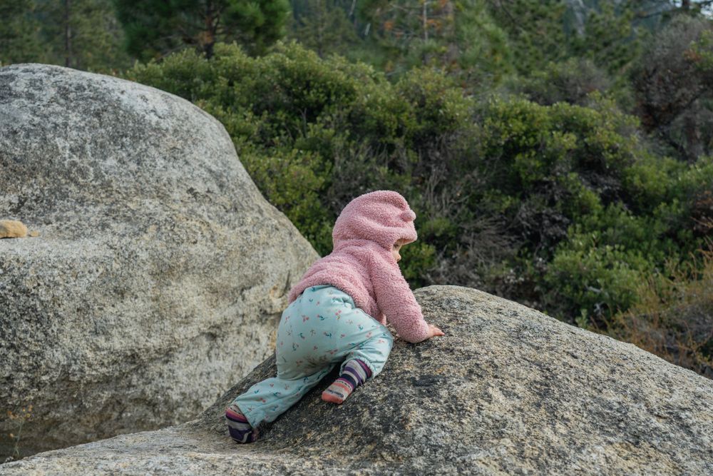 A tiny climber in pink and blue tackles a large boulder in the wilderness.
