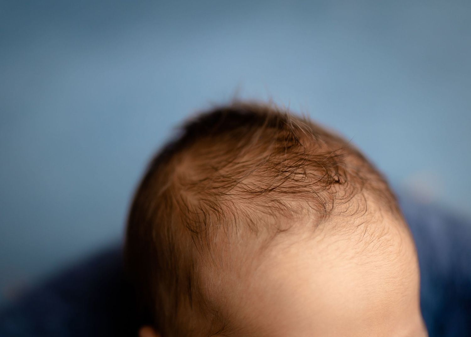 Waverly, NY Newborn Photographer Everlasting Impressions Photography