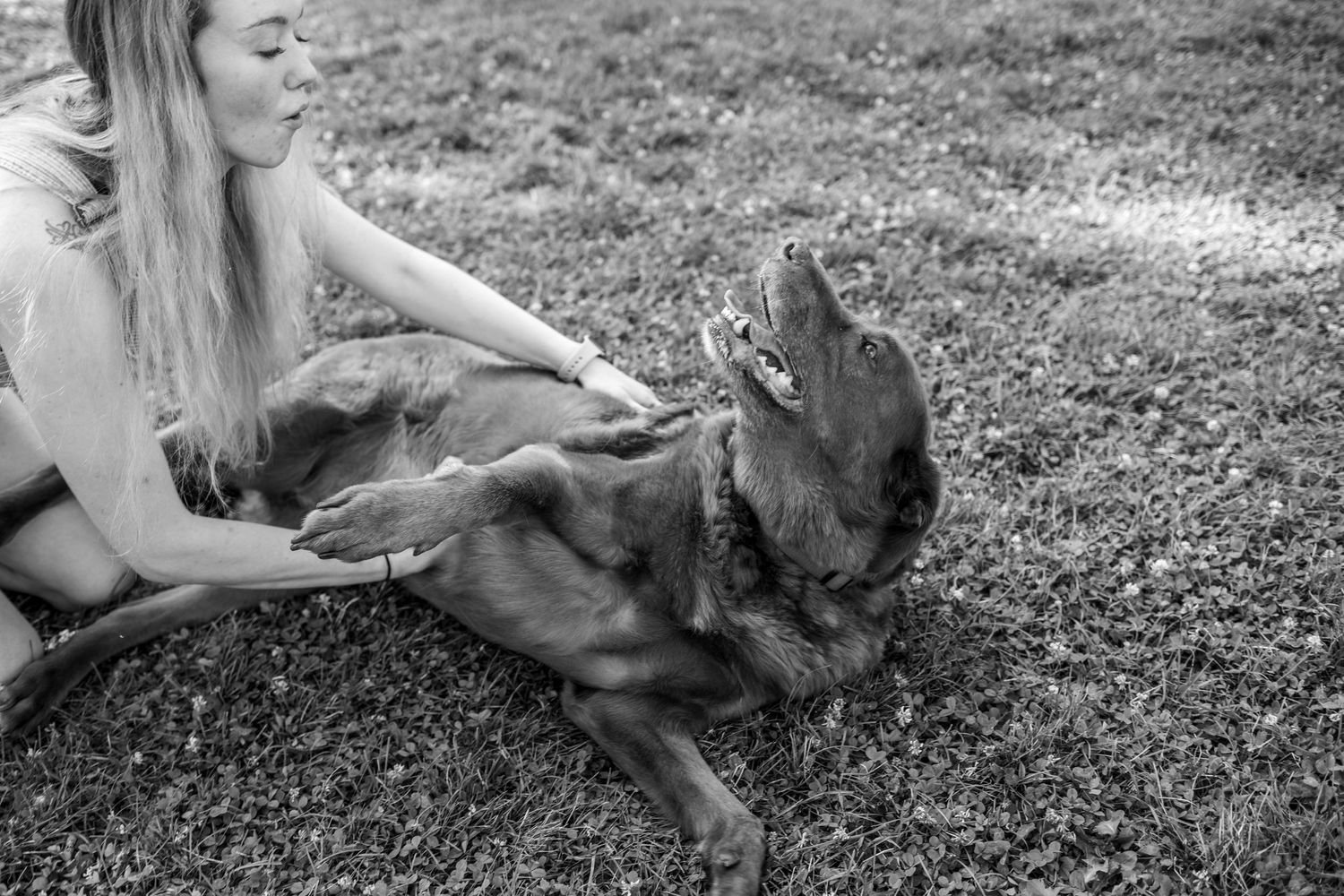 Black and white photo of a woman playing with her happy dog on a grass lawn.