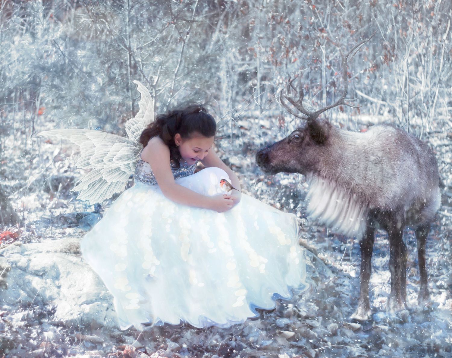 Reindeer sessions