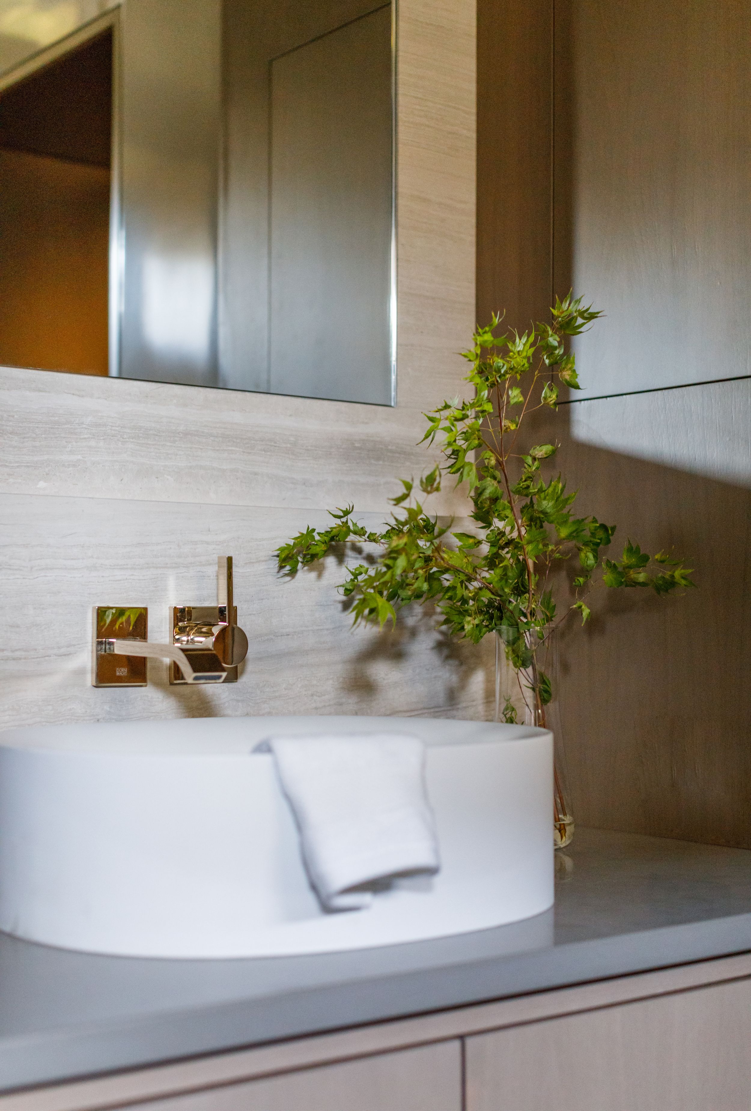 Minimalistic modern luxury bathroom with brass hardware