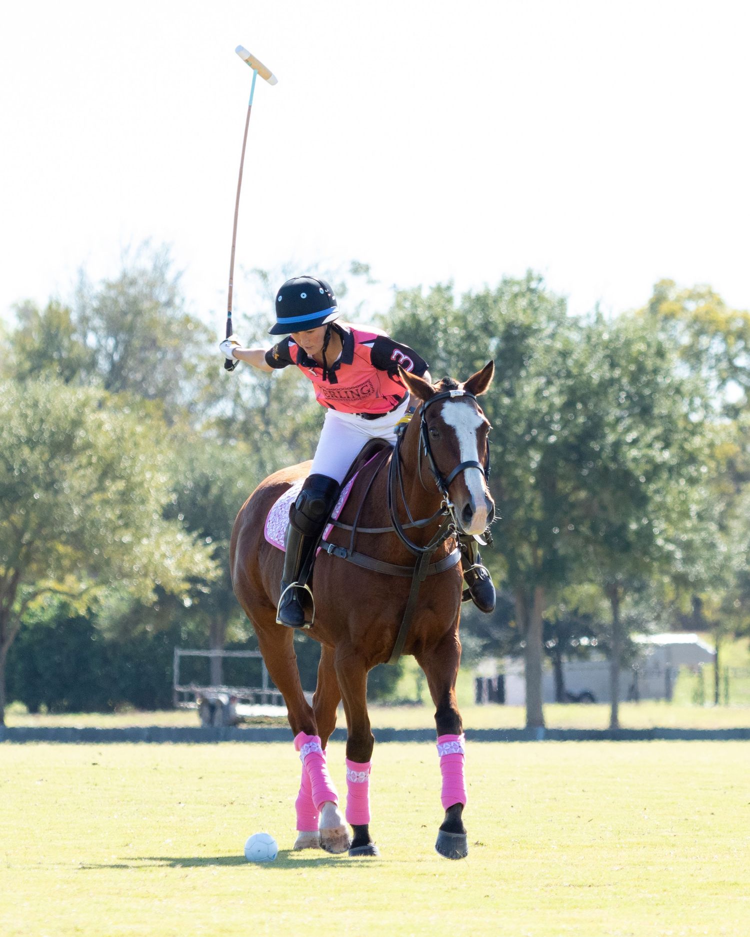 Polo