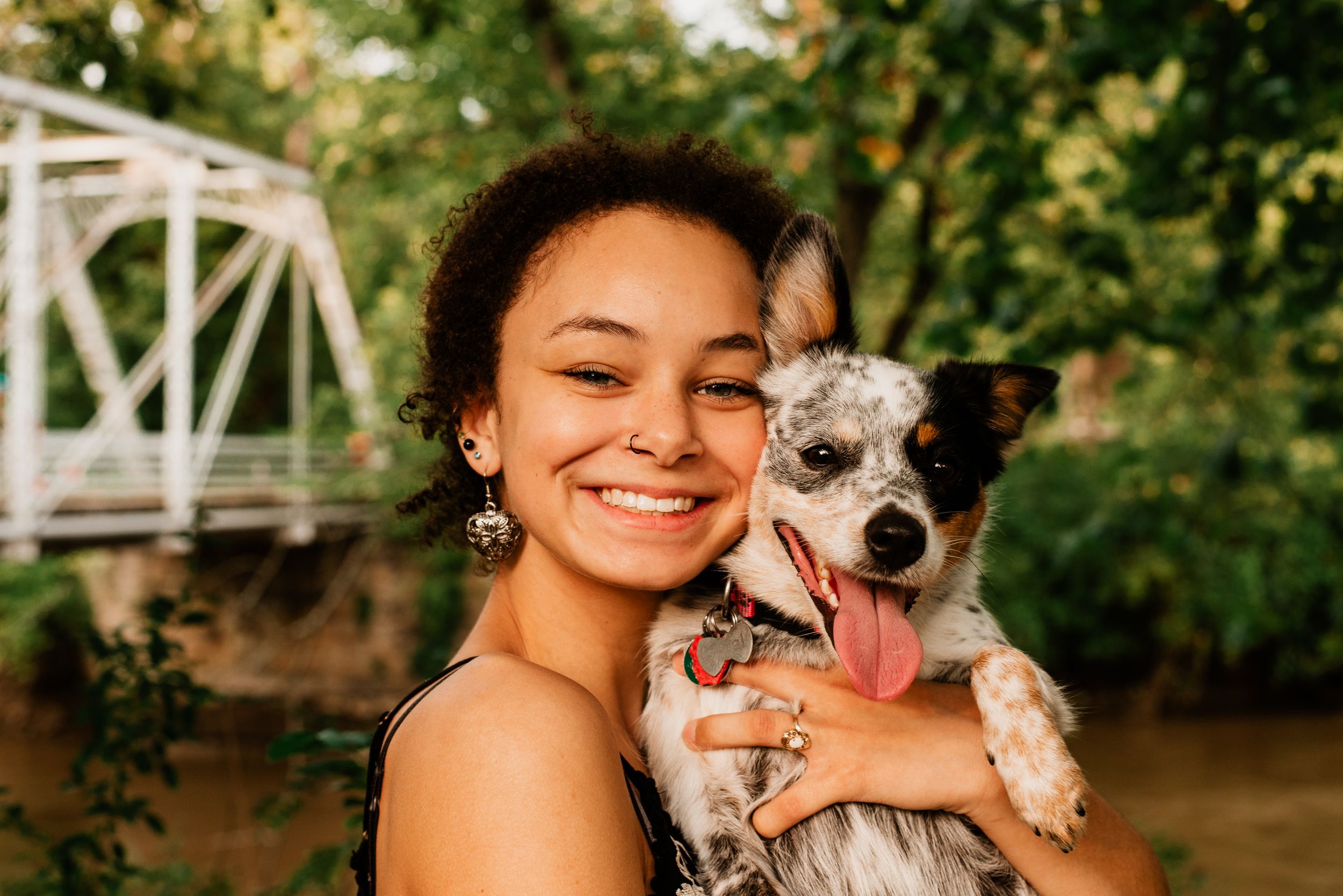 Summer portrait with a small terrier mix dog at a bridge.