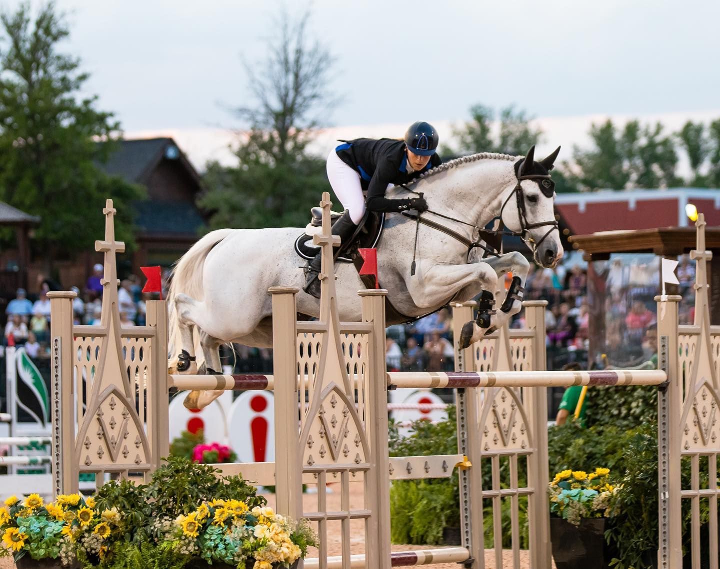 gray horse over Biltmore Estate themed oxer