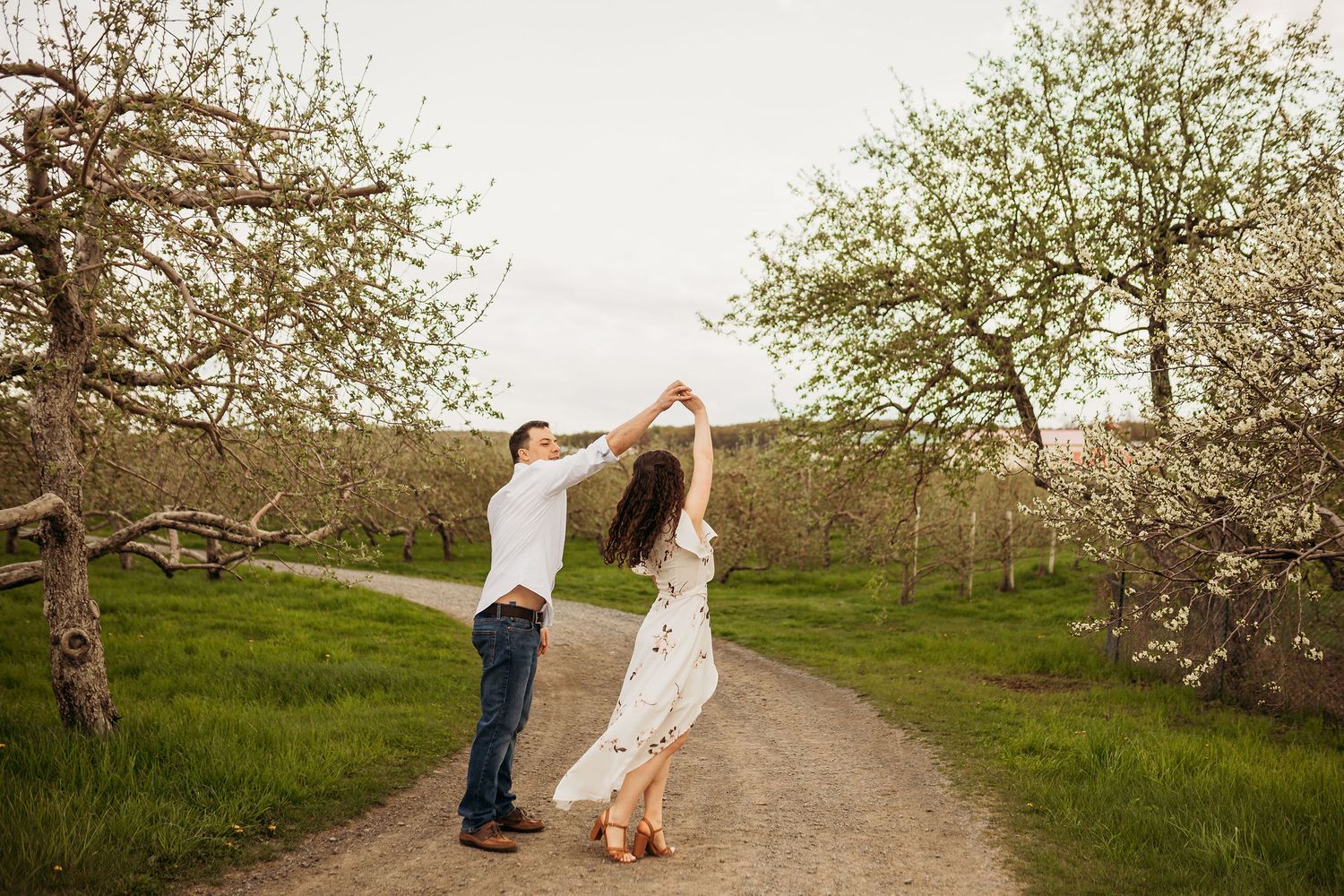A couple dances playfully on a path through a blooming spring orchard.