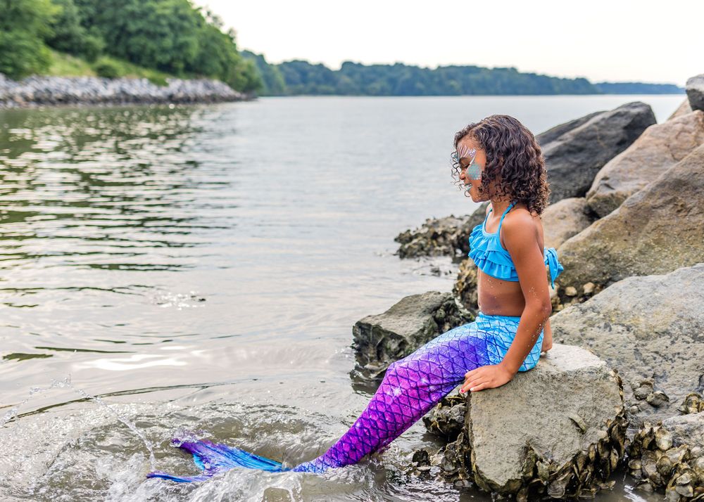 Costumed performer in blue and purple mermaid tail sitting on rocky coastline.