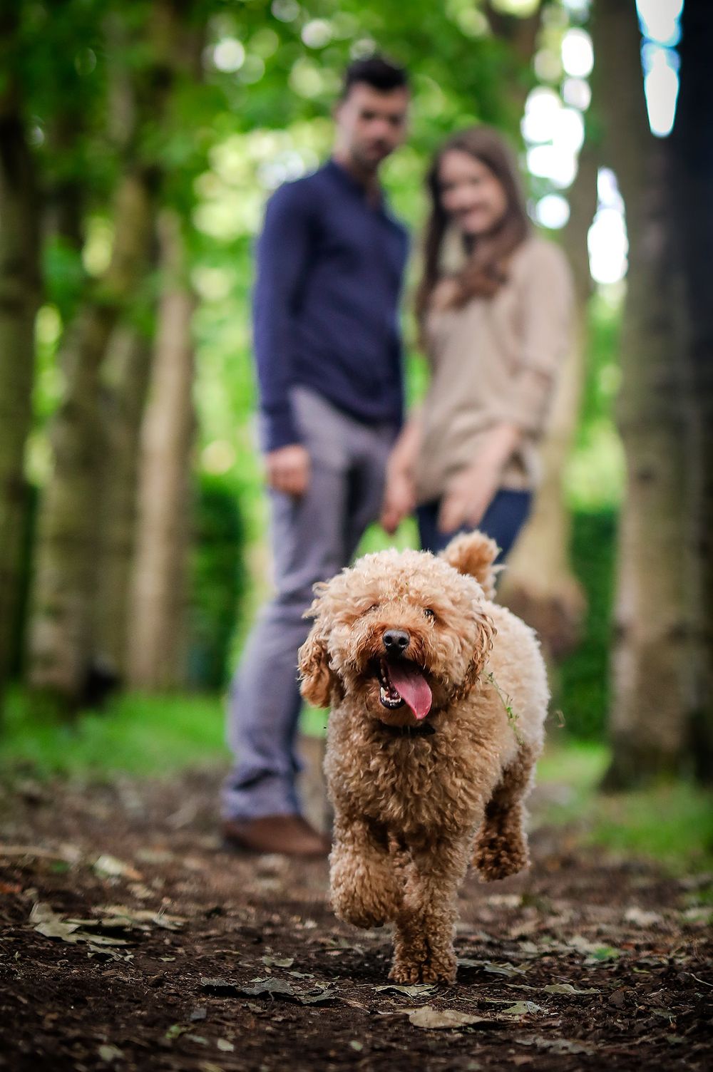 Newly engaged couple watch their dog running in the park
