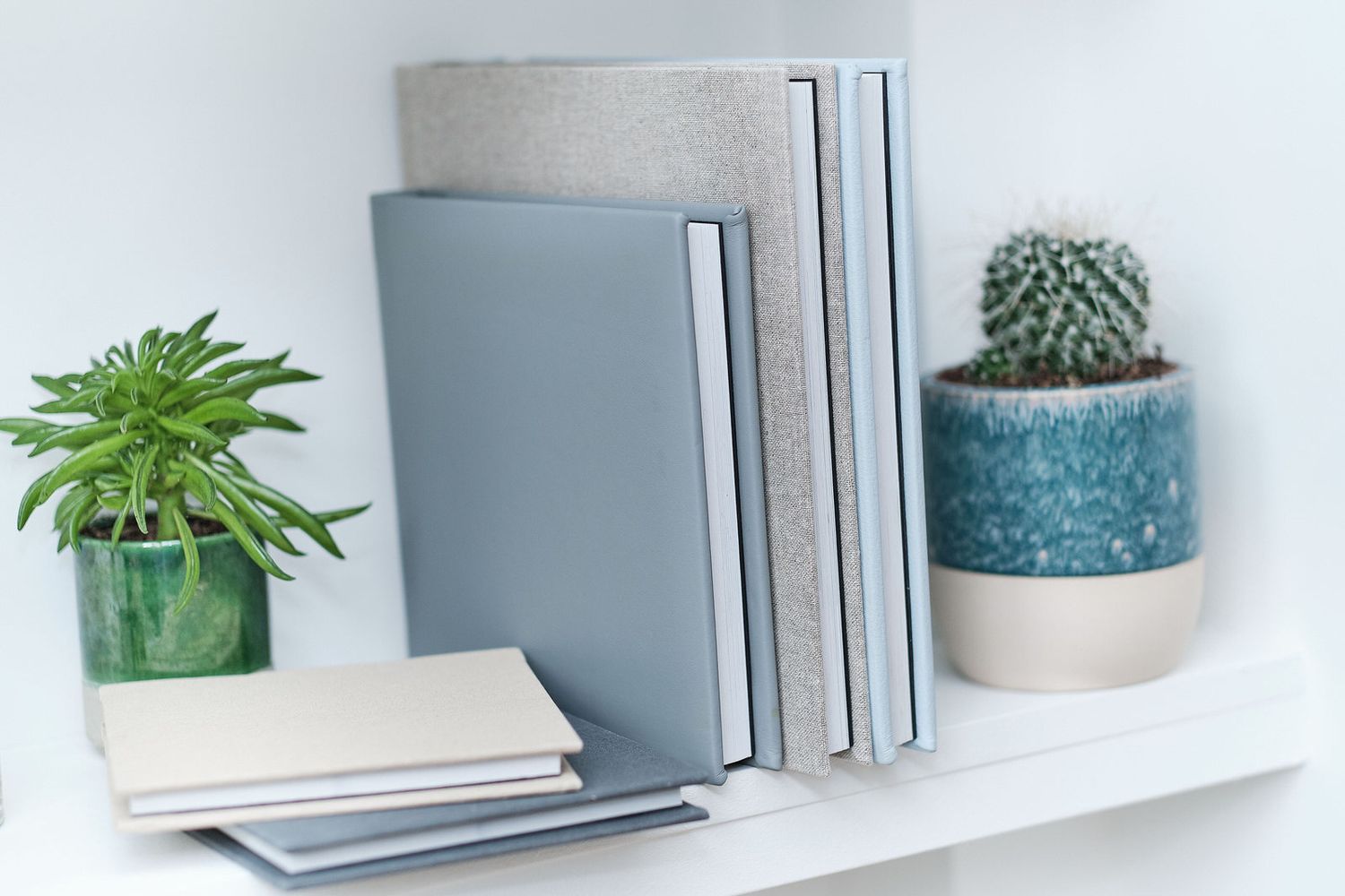 A decorative shelf with gray books, a green plant, and a small cactus in a blue ceramic pot.