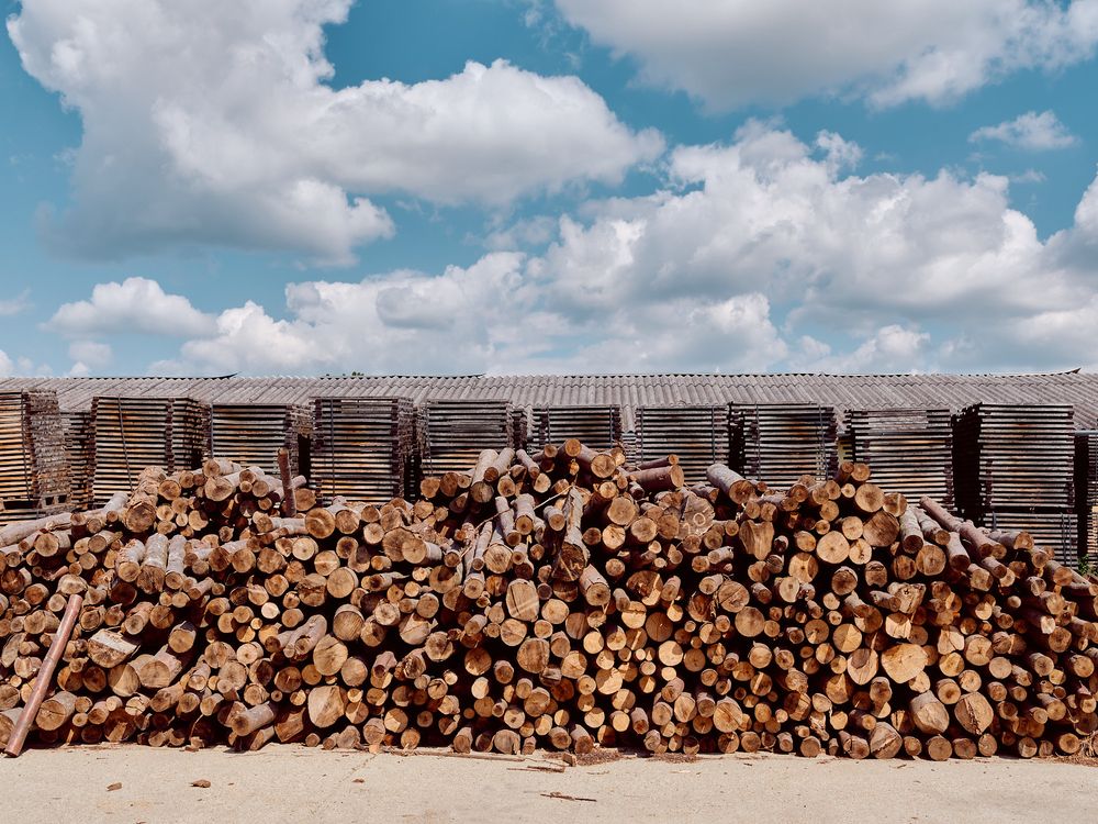 Large stack of cut logs piled against wooden fence under blue cloudy sky.