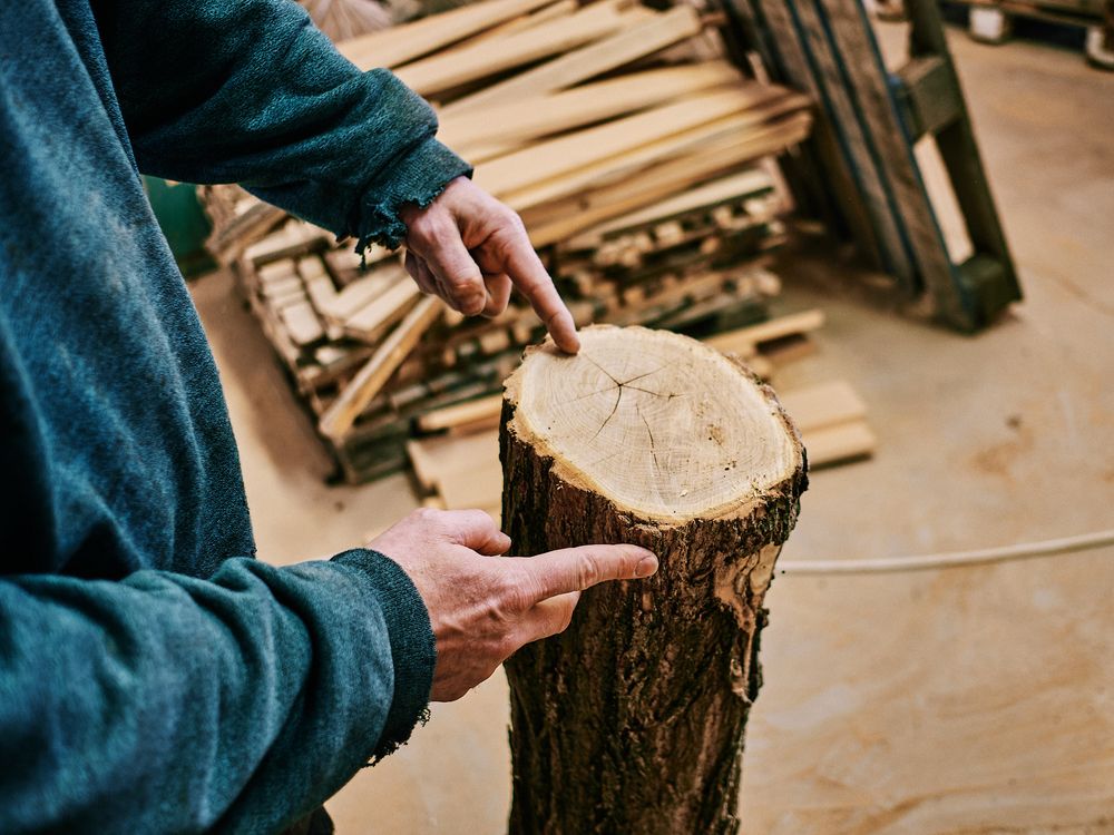 Hands examining a cross-section of raw wood log in workshop.