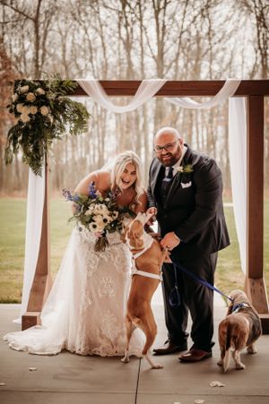 Bride and groom laugh as their boxer dog jumps up during outdoor wedding ceremony.