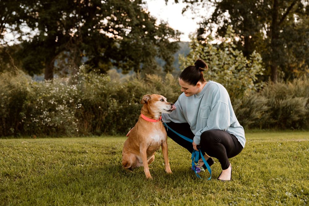 Johnson City Photographer, photography near me, johnson city, elizabethton tennessee, The Tilly Project, EOL pet photo