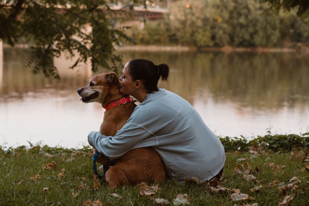 Johnson City Photographer, photography near me, johnson city, elizabethton tennessee, The Tilly Project, EOL pet photo