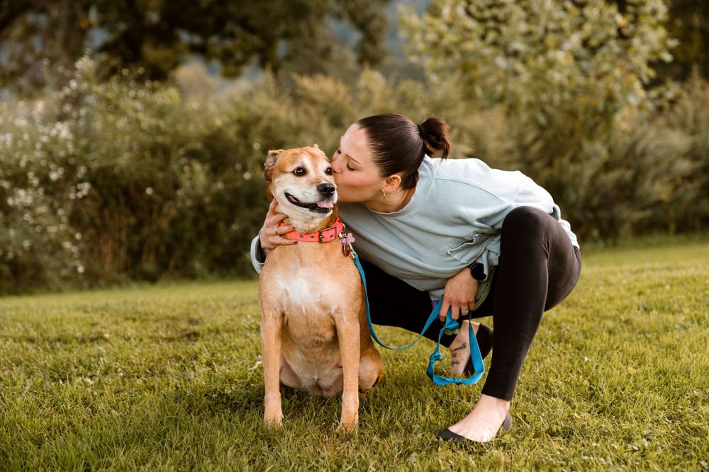 Johnson City Photographer, photography near me, johnson city, elizabethton tennessee, The Tilly Project, EOL pet photo