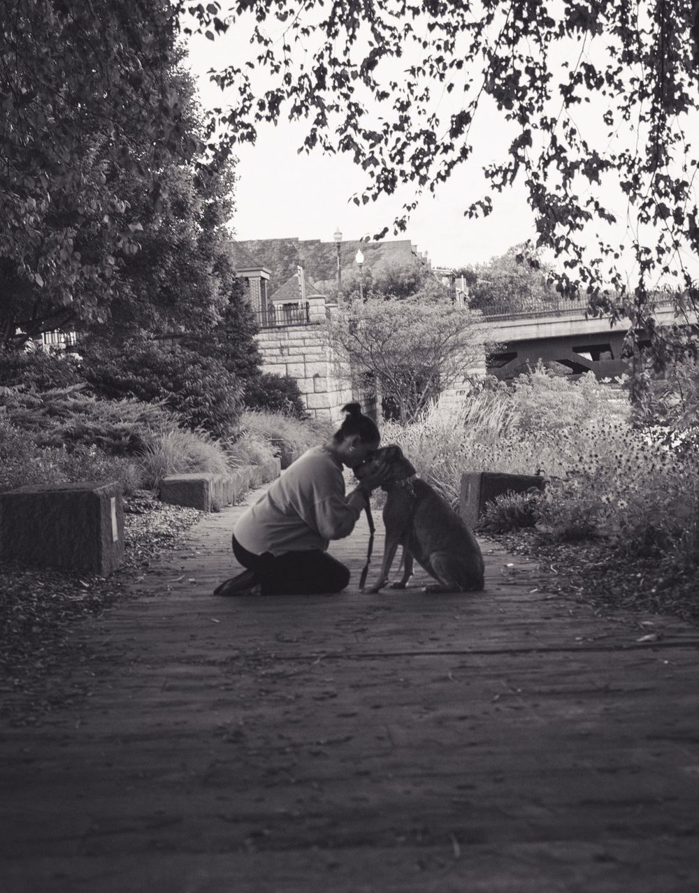 Johnson City Photographer, photography near me, johnson city, elizabethton tennessee, The Tilly Project, EOL pet photo