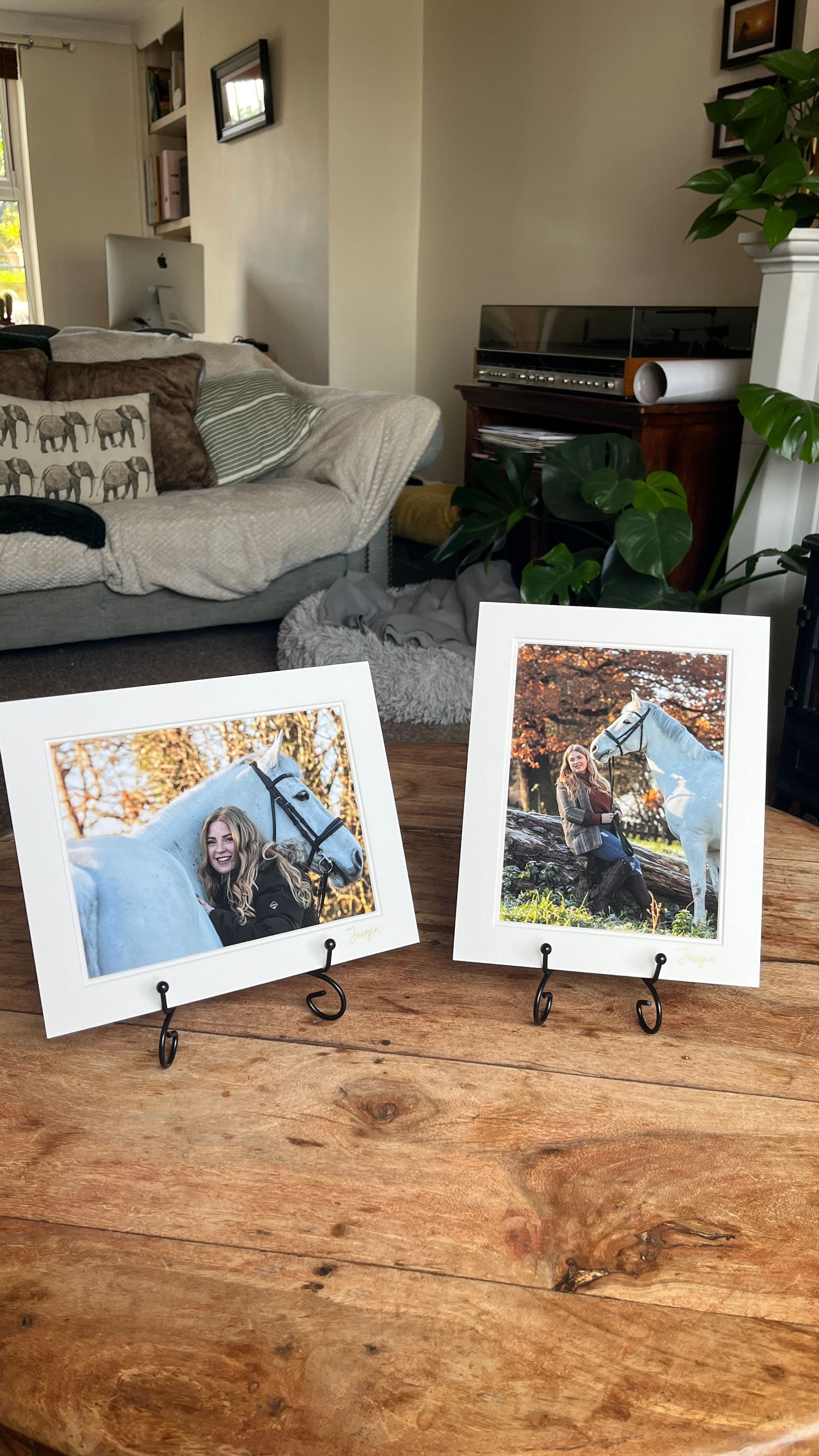 Two framed photographs of a majestic white horse on display against a rustic wooden table.