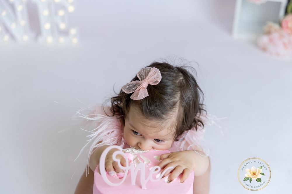 first birthday photoshoot, montgomery county pa, bucks county pa,