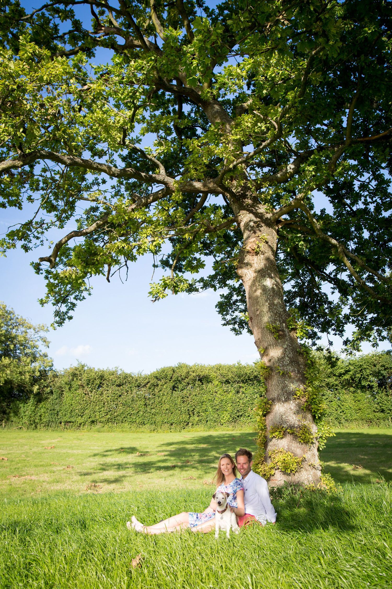Couple relaxing under a large oak tree in a serene garden setting on a sunny summer day.