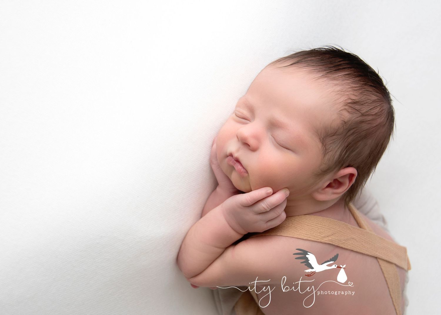 Baby Everett North Ridgeville Newborn Photographer