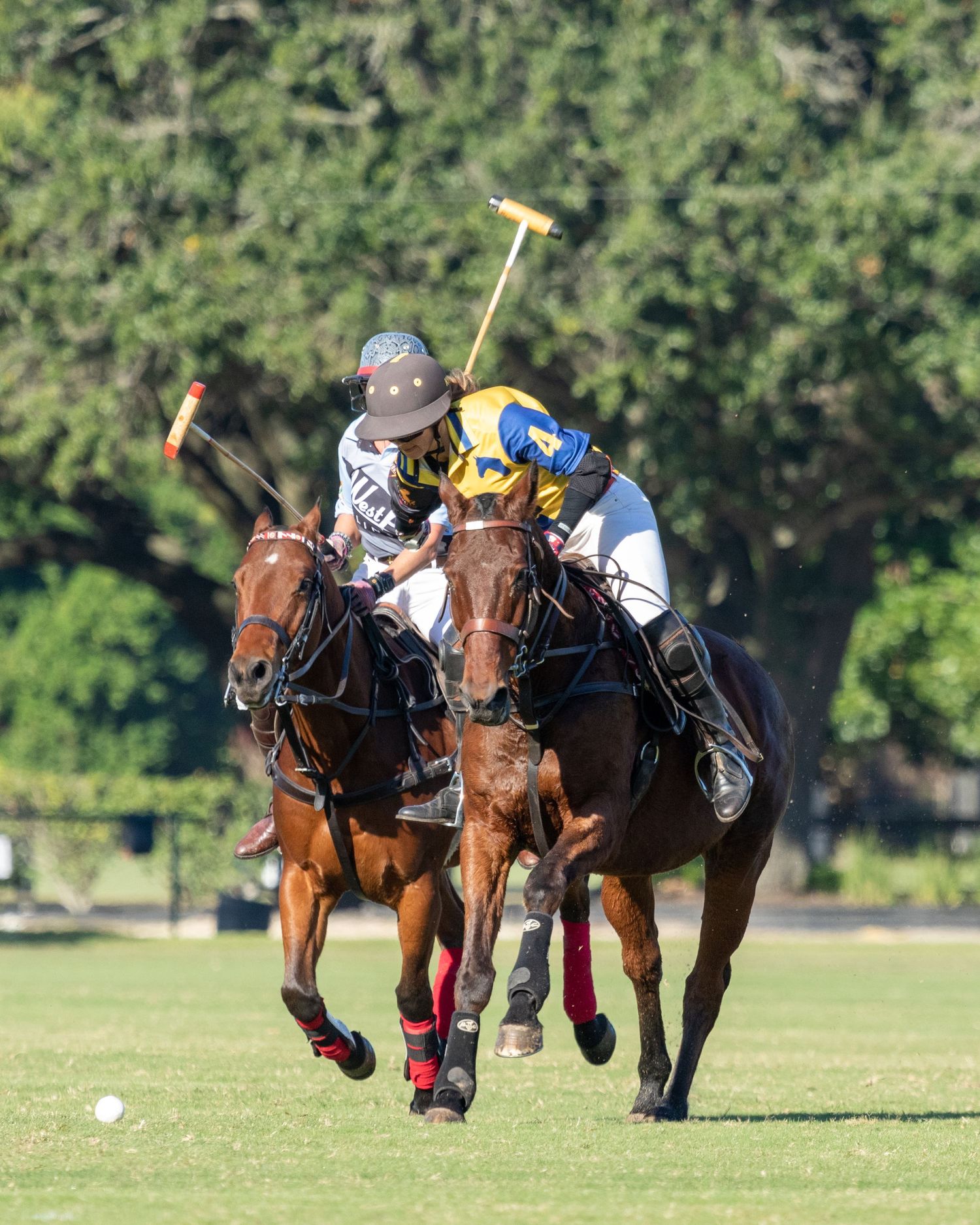 Polo