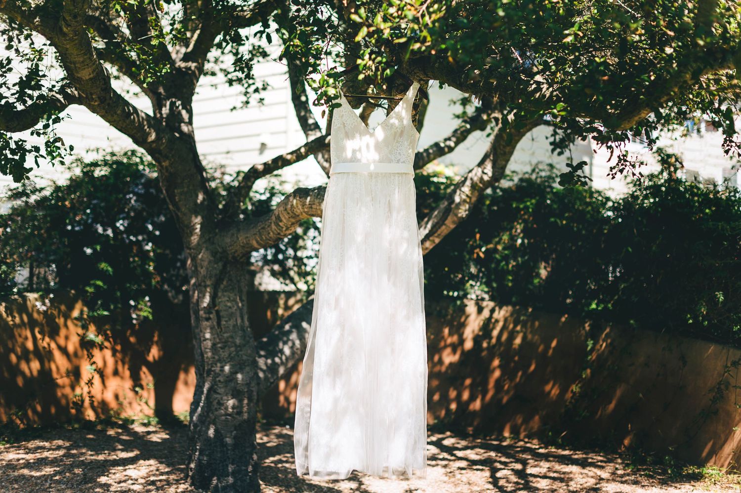 delicate white wedding dress hanging in olive tree