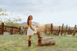 Rustic wooden fence posts stand in an open field with mountains on the horizon.