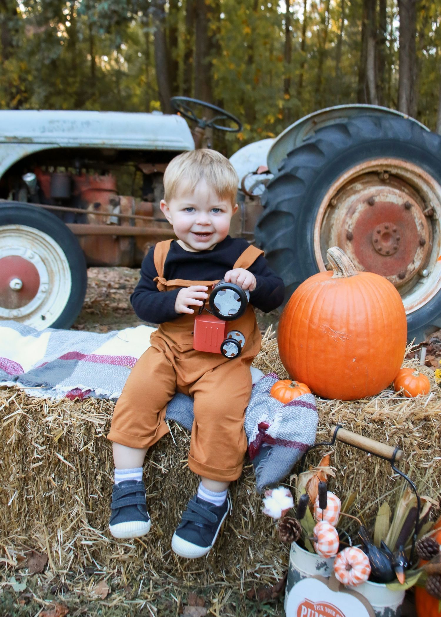 Fall pumpkin patch scene with hay bales and orange pumpkins in natural outdoor setting.