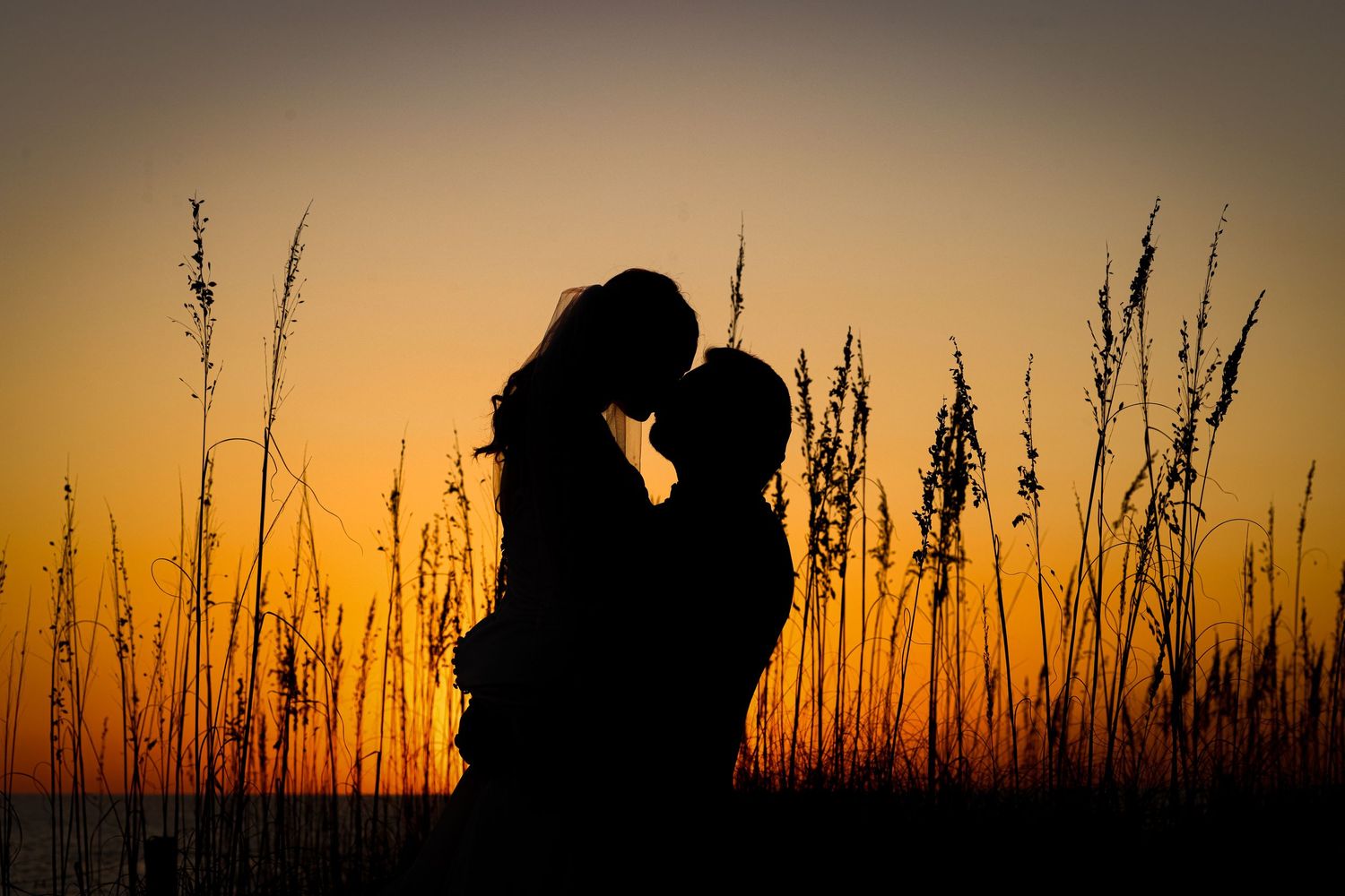 A romantic silhouette of a couple embracing against a golden sunset sky with tall grass in the foreground.