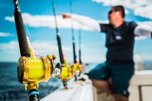 mulinello canna da pesca professionale